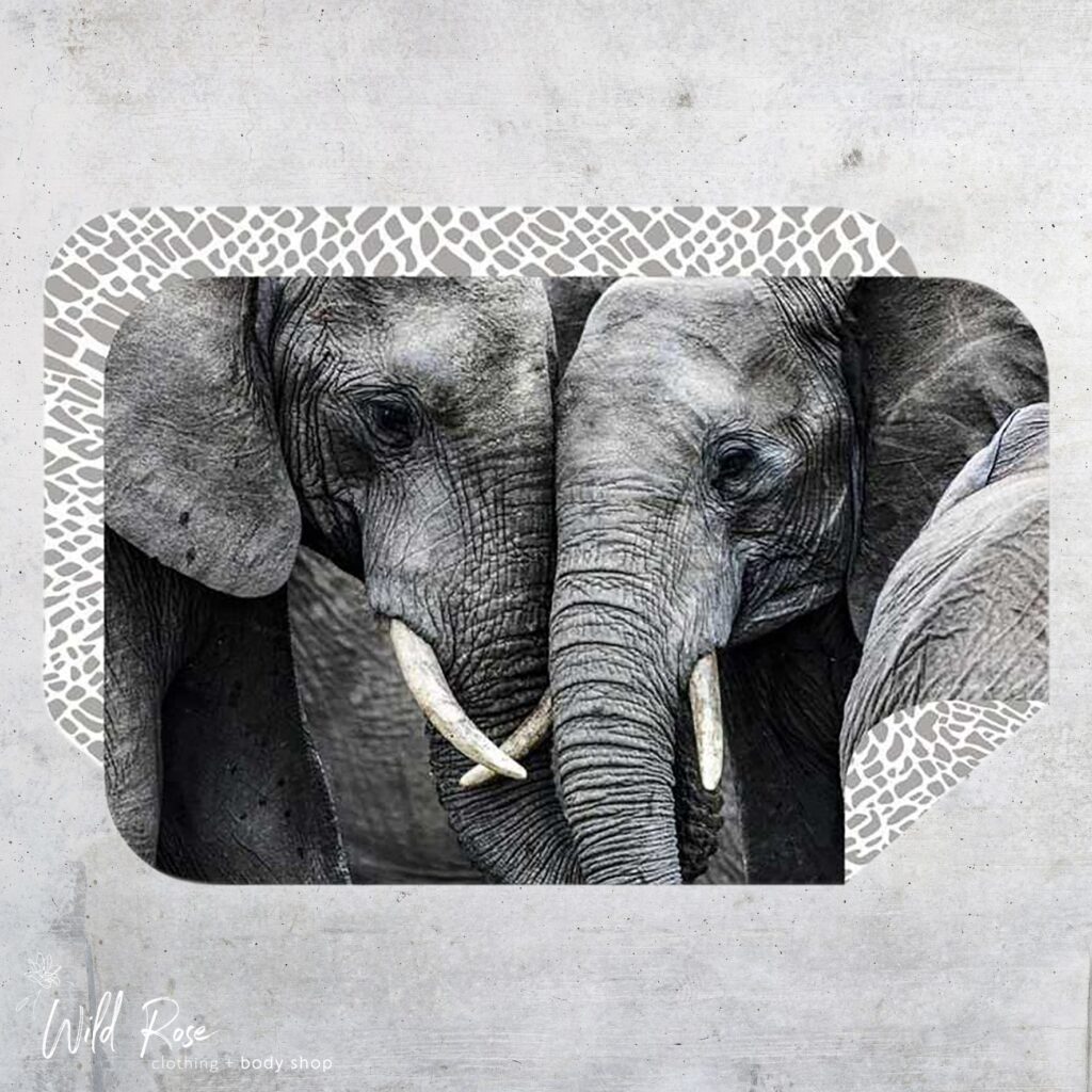 Bobums Elephant Double-Sided Towel featuring a black-and-white photograph of elephants with a patterned border on a light grey background.